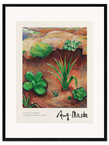 Ingelijste kunstdruk Little Plants