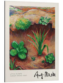 Magnettafel Little Plants