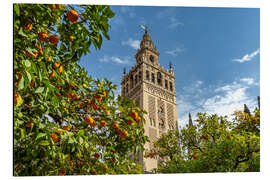 Alubild Giralda in Sevilla