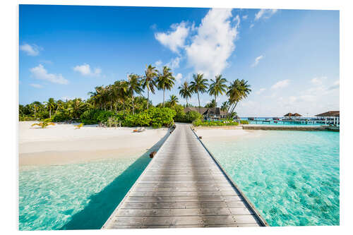 Foam board print Vacation on a tropical island in the Maldives