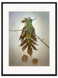 Gerahmter Kunstdruck Kolibri