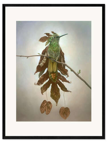 Impressão artística com moldura Hummingbird