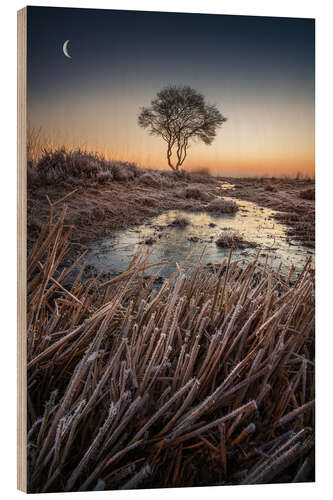 Wood print Tree at sunrise