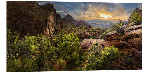 Quadro em acrílico Zion Canyon Overlook