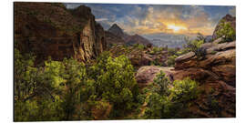 Aluminium print Zion Canyon Overlook