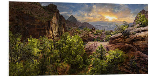 Foam board print Zion Canyon Overlook