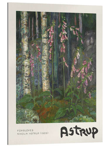 Gallery print Foxgloves