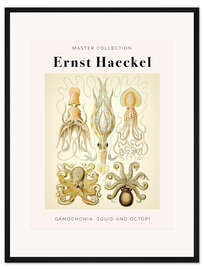 Gerahmter Kunstdruck Gamochonia: Squid and Octopi