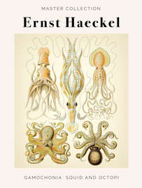 Magnettafel Gamochonia: Squid and Octopi