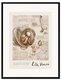 Gerahmter Kunstdruck The Foetus in the Womb