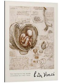 Magnettafel The Foetus in the Womb