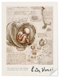 Selvklebende plakat The Foetus in the Womb