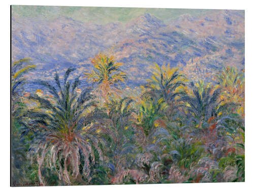 Stampa su alluminio Palm Trees at Bordighera, 1884