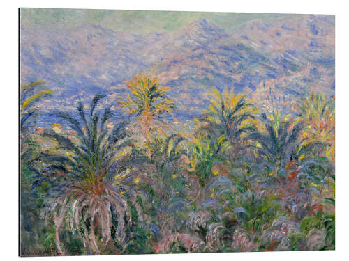 Gallery print Palm Trees at Bordighera, 1884