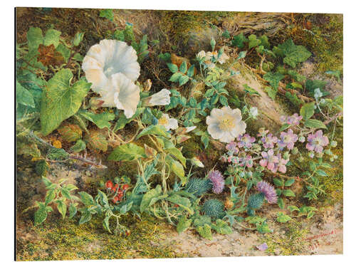 Stampa su alluminio Flower study, 1866