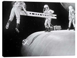 Lienzo The wild, wild planet, 1966