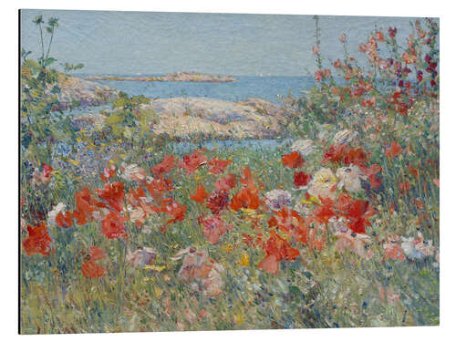 Aluminium print Celia Thaxters Garden, Isles of Shoals, Maine, 1890