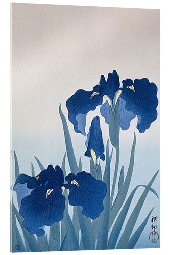 Quadro em acrílico Irises, c. 1925-36