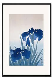 Gerahmter Kunstdruck Schwertlilien, ca. 1925-36
