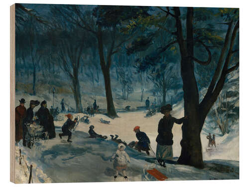 Trätavla Central Park, winter, 1905