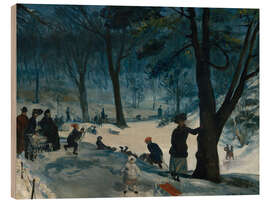 Holzbild Central Park, Winter, 1905