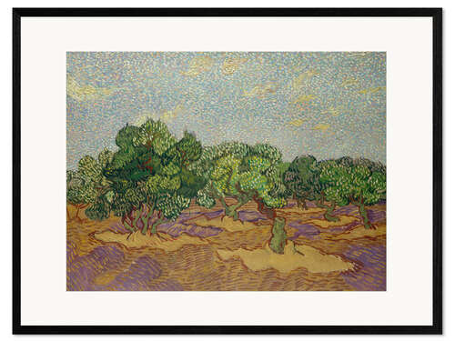 Impresión de arte enmarcada Olivos III