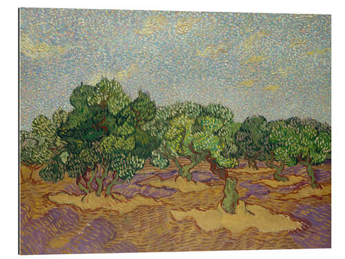 Galleriprint Olive Trees III