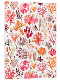 Foam board print Corals Reef Red