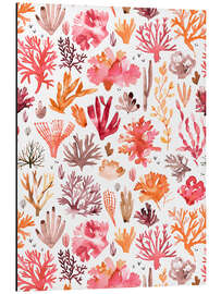 Magnettafel Korallenriff rot