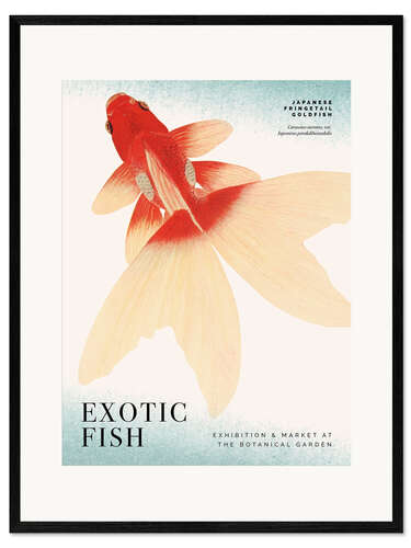 Innrammet kunsttrykk Exotic Fish Exhibition