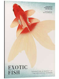 Magnettafel Exotic Fish Exhibition