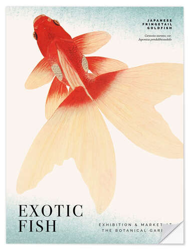 Selvklebende plakat Exotic Fish Exhibition