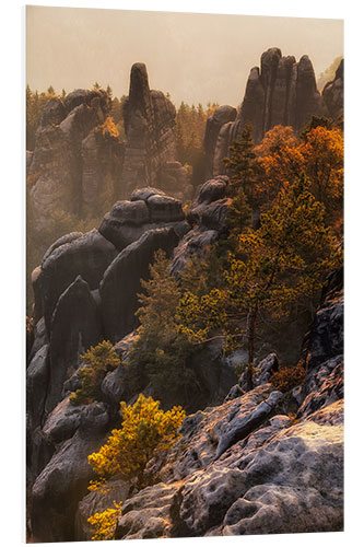 Bilde på skumplate Saxon Switzerland - Schrammsteine I