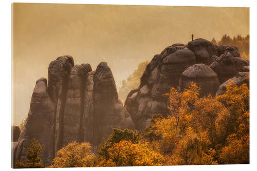 Akrylbilde Saxon Switzerland - Schrammsteine III