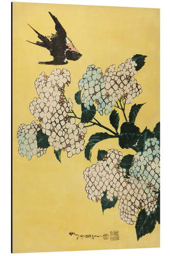 Aluminiumsbilde Hydrangea and Swallow, untitled series of large flowers, ca. 1833