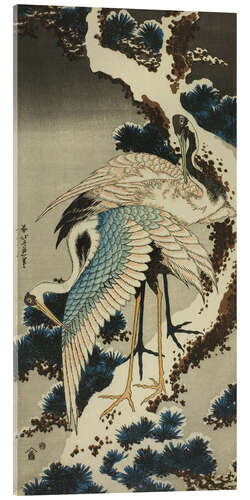 Obraz na szkle akrylowym Cranes on snow-covered pine, Japan, ca. 1834