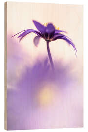 Wood print Graceful Balkan Anemone