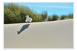 Wall print  Seagull in the dune - Susanne Herppich