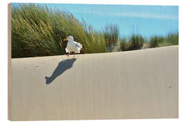 Trätavla Seagull in the dune