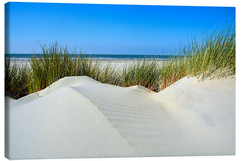 Obraz na płótnie Untouched dune landscape