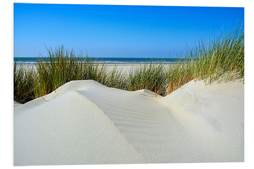 Tableau en PVC Untouched dune landscape