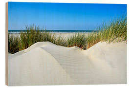 Quadro de madeira Untouched dune landscape