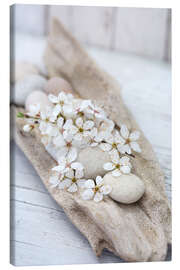 Canvas-taulu Sakura White Cherry Blossom