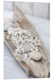 Foam board print Sakura White Cherry Blossom