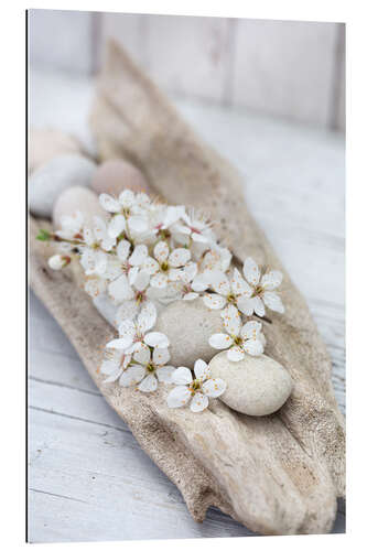 Gallery print Sakura White Cherry Blossom