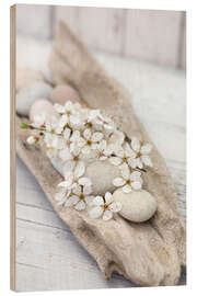 Cuadro de madera Sakura White Cherry Blossom