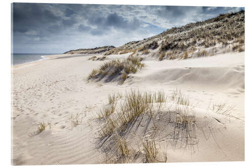 Acrylic print Winter on Sylt, dune landscape in the Ellenbogen nature reserve