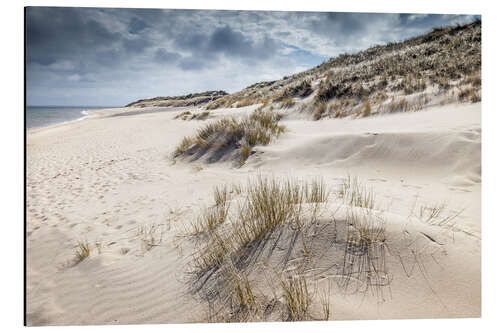 Tableau en aluminium Winter on Sylt, dune landscape in the Ellenbogen nature reserve