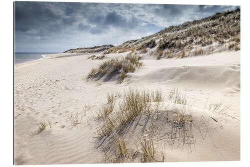 Gallery print Winter on Sylt, dune landscape in the Ellenbogen nature reserve