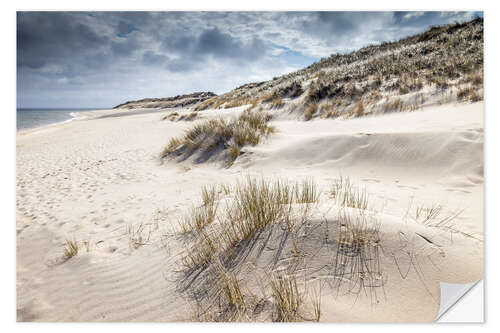 Vinilo para la pared Winter on Sylt, dune landscape in the Ellenbogen nature reserve